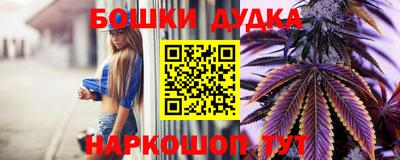 наркотики Кингисепп