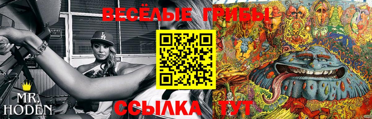 Галлюциногенные грибы ЛСД  Вход с VPN  Галлюциногенные грибы ЛСД  Людиново 