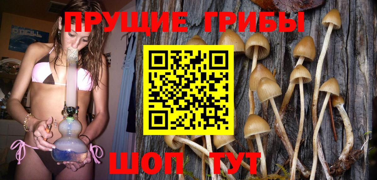Галлюциногенные грибы Magic Shrooms Людиново